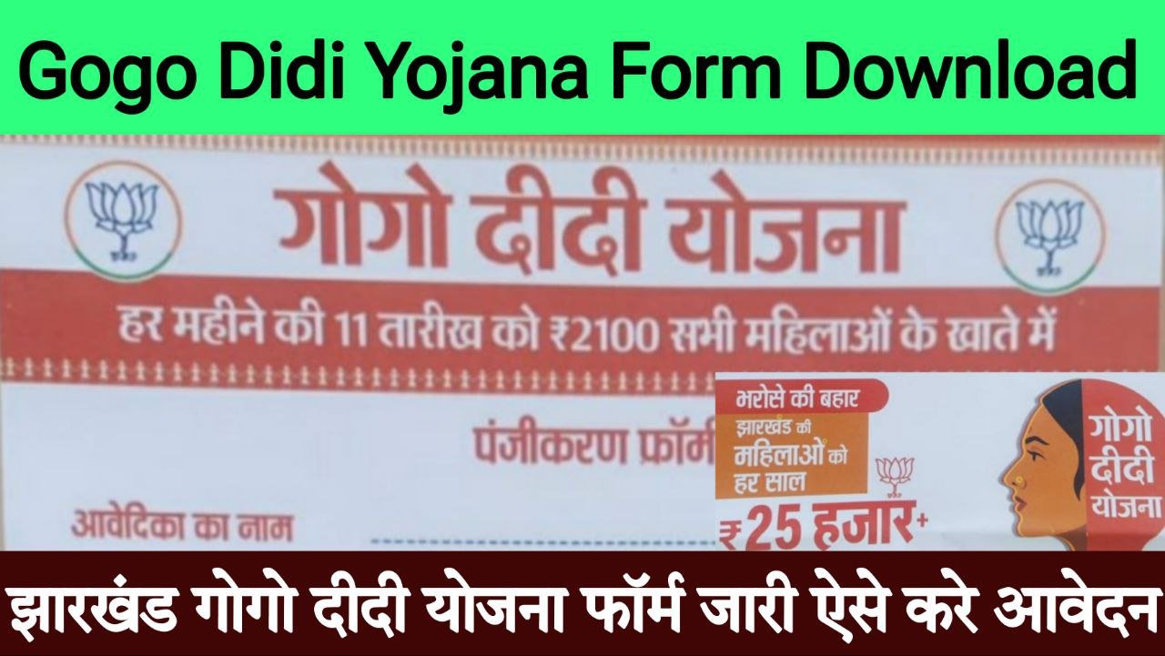 Gogo Didi Yojana Form Download