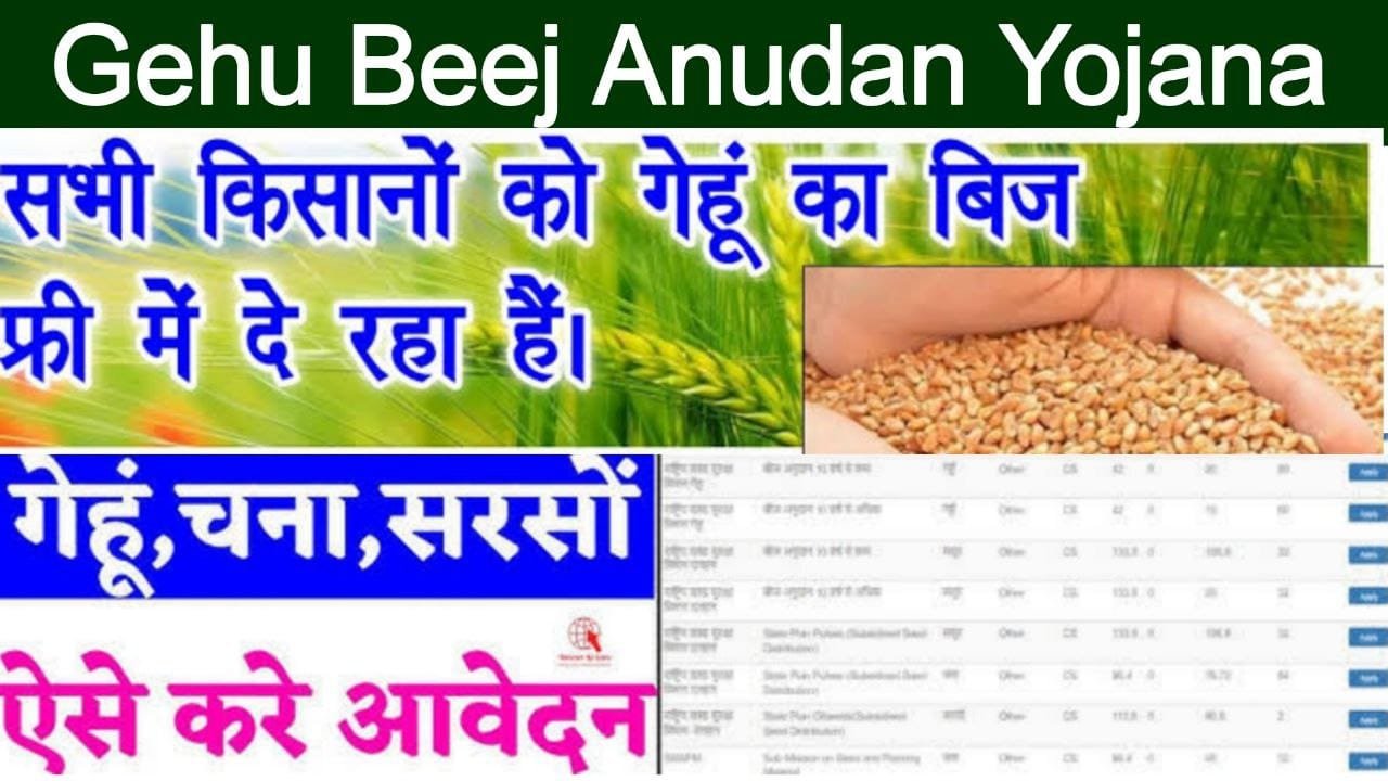 Gehu Beej Anudan Yojana Apply Online